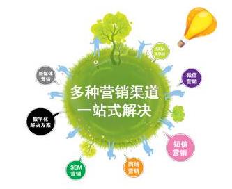 网站设计与网络技术开发 专业服务欢迎来电咨询