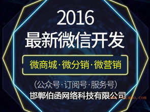 如何甄选实力雄厚的微信营销推广服务商 从生产厂家到网络技术开发的全面解析